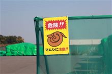 マムシ