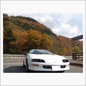 紅葉を求めて