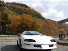 紅葉を求めて
