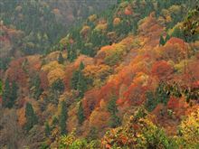 錦の山　 瀞川氷ノ山林道♪