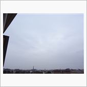 １１月７日　雨が降りそうな木 ...