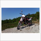 TE250Rショートサイドス ...