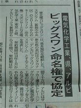 頑張れアルビ！
