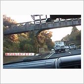 ジビエって知ってますか?