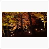 山中湖紅葉まつり