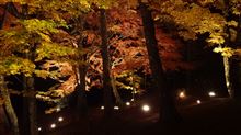 山中湖紅葉まつり