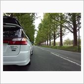 新・日本街路樹百景(^_^)v