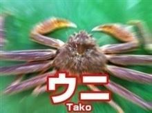 カタコト月間。