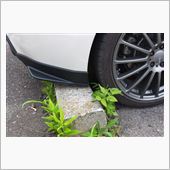 次の一手