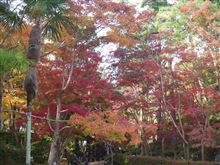 松雲山荘（柏崎）の紅葉、鯛茶漬け、温泉のプチ旅行