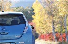 リーフで３８０ｋｍの散歩♪　☆彡リーフモニター