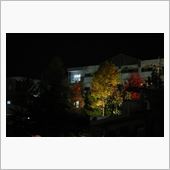 ライトアップ