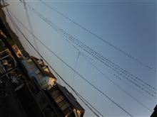 燕　つばめ　ツバメ