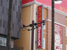 ステレオカメラ