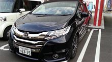 新型オデッセイアブソルート試乗