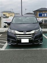 NEWオデッセイ、乗っちゃった～