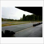 一本クヌギなう！