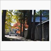 次はいつもの神社へ