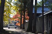 次はいつもの神社へ