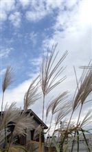 近所の秋・・・