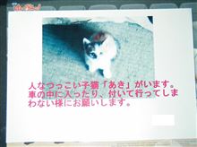人懐っこいのはいいのだけれど、、、付いて行っちゃダメだよあきちゃん(=^ェ^=)