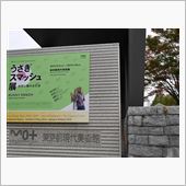 Museum of Cont ...