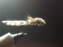 フライ巻き巻き3