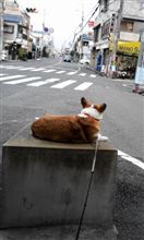 一番と違うのか？