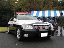 しろくろパンダ車内