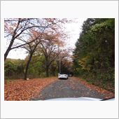 そばオフ2013
