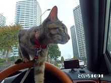 同伴でその３ (*^-ﾟ)vｨｪｨ♪ 