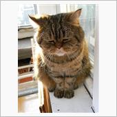 仔犬対策しなくちゃ　２　・・ ...
