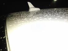 初雪