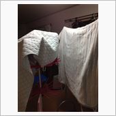 こんな日にやりやがったな