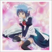 今日はハヤテ君の日！