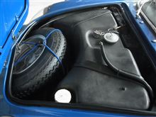A110　の青はルリボシカミキリなのです