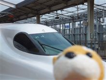 まだ珍しい新幹線だよ！