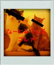 久々にぶらっと…