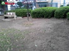思い出の公園♪　エロ本はどこに行った？？？