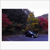 今年の秋は、