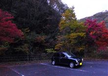 今年の秋は、
