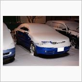 11月なのに吹雪（泣）