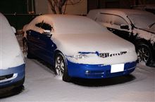 11月なのに吹雪（泣）