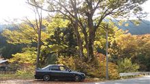 Brilliant colored autumn leaves　紅葉ドライブ at　山梨県
