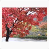 今週は宇甘渓へ