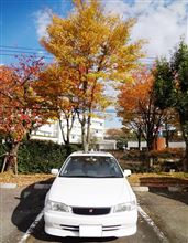 紅葉をバックに、カローラの写真を撮ってみた♪