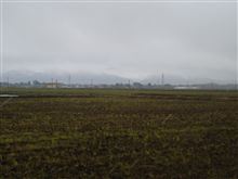寒い１日ですが…(&gt;_&lt;)