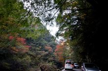 天ヶ瀬～九酔渓～耶馬溪～英彦山の紅葉ドラ♪②