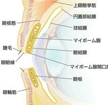 三流酒。お前を斬る！