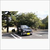 沿岸部の紅葉は、